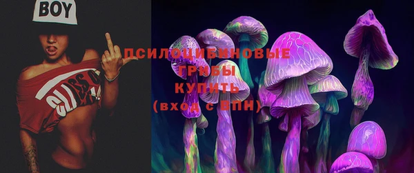 синтетический гашиш Липки