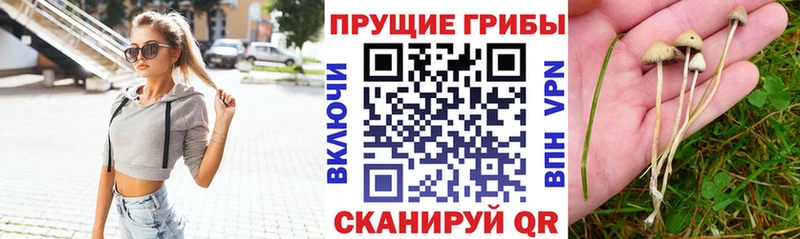 Псилоцибиновые грибы мухоморы  нарко площадка Telegram  Южно-Сахалинск 